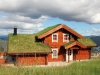 Massive log house with a grass roof
